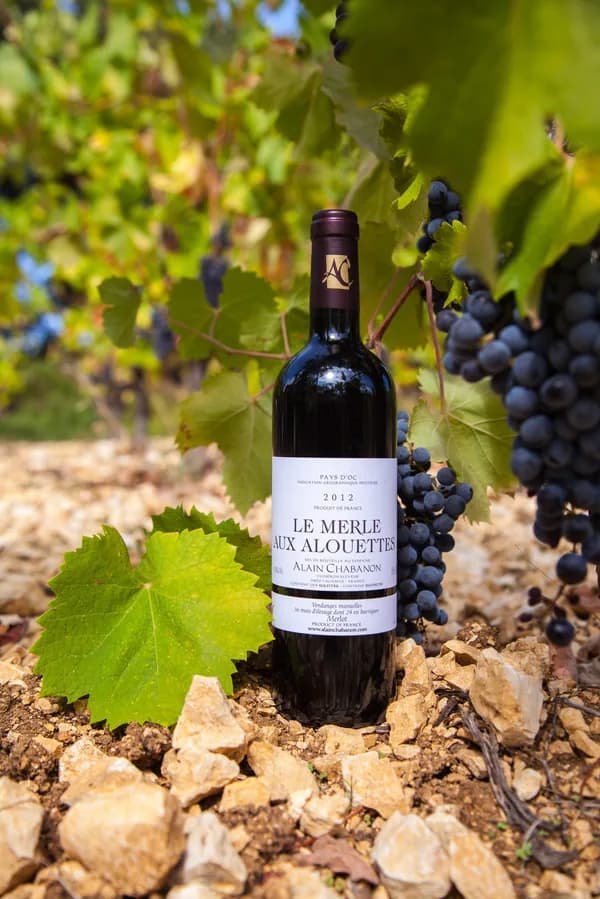 Bouteille de Le Merle aux Alouettes — DOMAINE ALAIN CHABANON, vin rouge