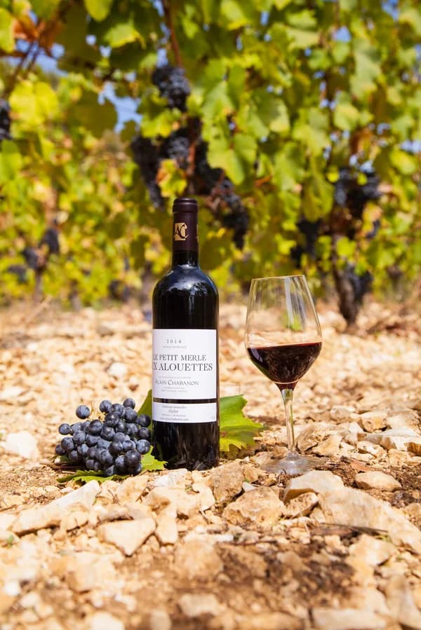 Bouteille de Le Petit Merle aux Alouettes — DOMAINE ALAIN CHABANON, vin rouge