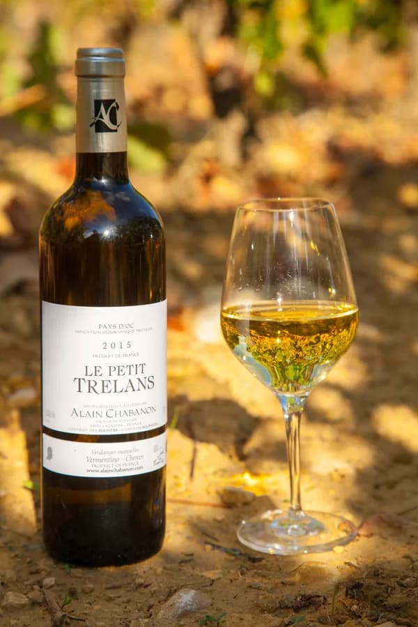 Bouteille de Le Petit Trélans — DOMAINE ALAIN CHABANON, vin blanc