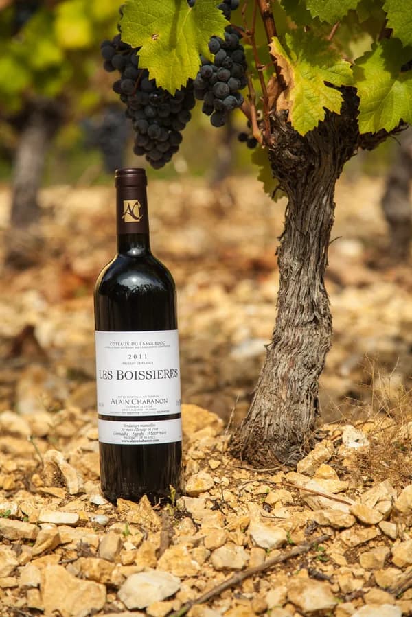 Bouteille de Les Boissières — DOMAINE ALAIN CHABANON, vin rouge