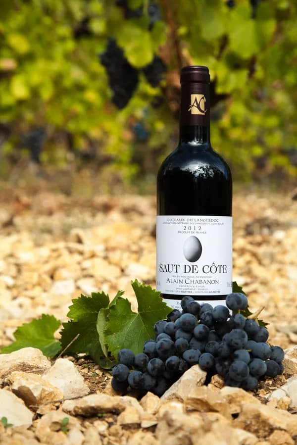 Bouteille de Saut de Côte — DOMAINE ALAIN CHABANON, vin rouge