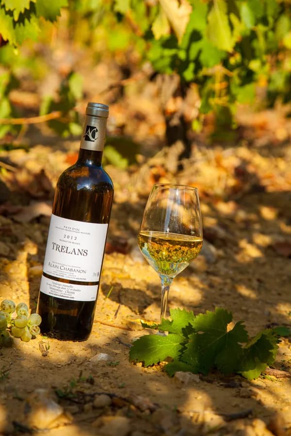 Bouteille de Trélans — DOMAINE ALAIN CHABANON, vin blanc