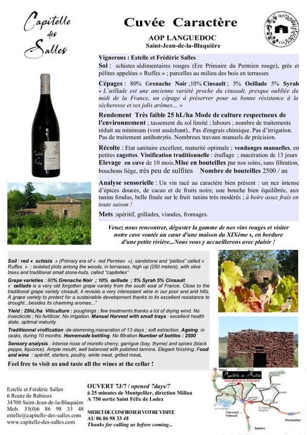 Bouteille de Caractère — DOMAINE CAPITELLE DES SALLES, vin rouge