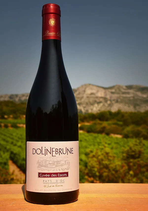 Bouteille de Cuvée des Essarts — DOMAINE DE BRUNET, vin rouge