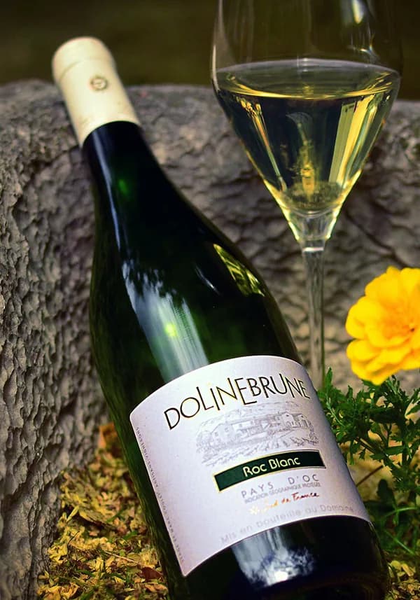 Bouteille de Roc Blanc — DOMAINE DE BRUNET, vin blanc