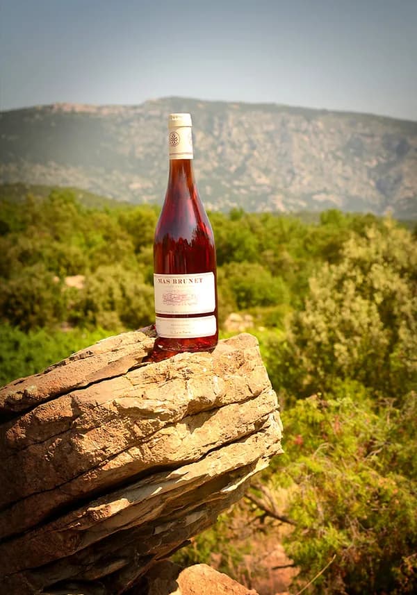 Bouteille de Tradition Rosé — DOMAINE DE BRUNET, vin rosé