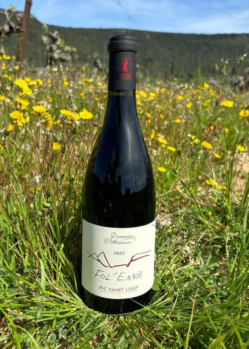 Bouteille de Fol'Envie — DOMAINE DE VILLENEUVE, vin rouge