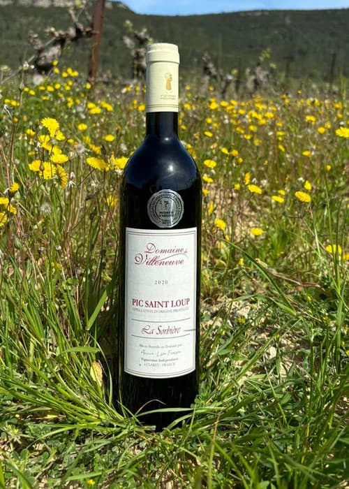 Bouteille de La Sorbière — DOMAINE DE VILLENEUVE, vin rouge