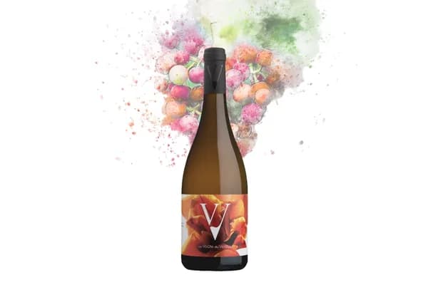 Bouteille de La Source d'Amour — DOMAINE LA VOUTE DU VERDUS