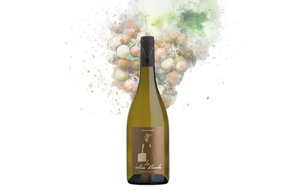 Bouteille de La Valise Blanche — DOMAINE LA VOUTE DU VERDUS, vin blanc