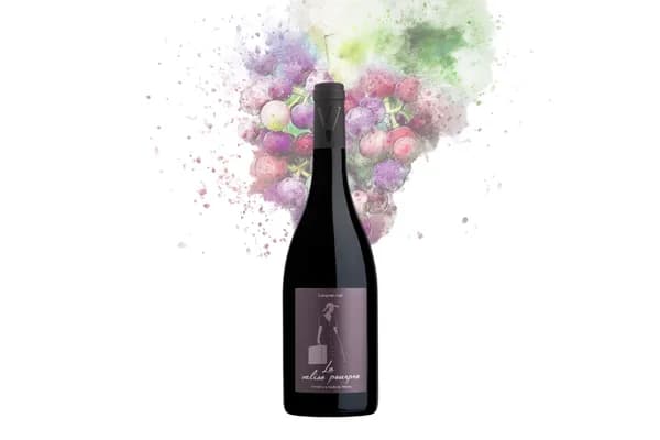 Bouteille de La Valise Pourpre — DOMAINE LA VOUTE DU VERDUS, vin rouge