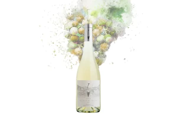 Bouteille de La Voûte du Verdus Blanc — DOMAINE LA VOUTE DU VERDUS, vin blanc