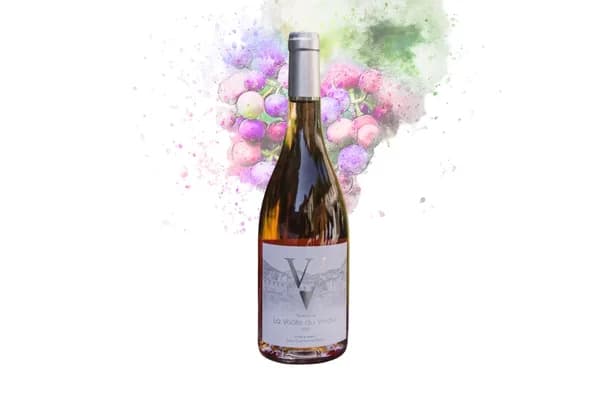 Bouteille de La Voûte du Verdus Rosé — DOMAINE LA VOUTE DU VERDUS, vin rosé
