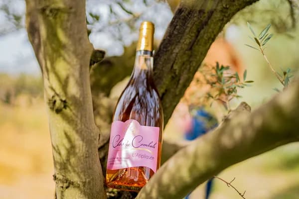Bouteille de L'Appliquée Rosé — LE CLOS DES COMBALS, vin rosé