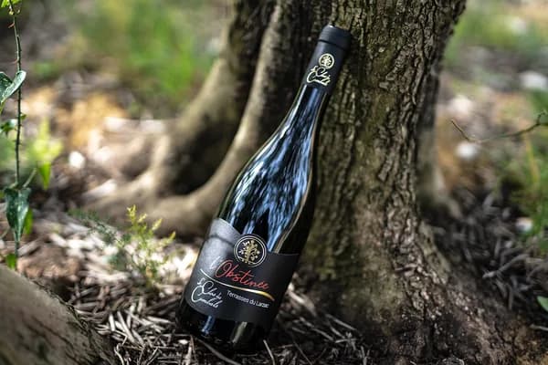 Bouteille de L'Obstinée — LE CLOS DES COMBALS, vin rouge