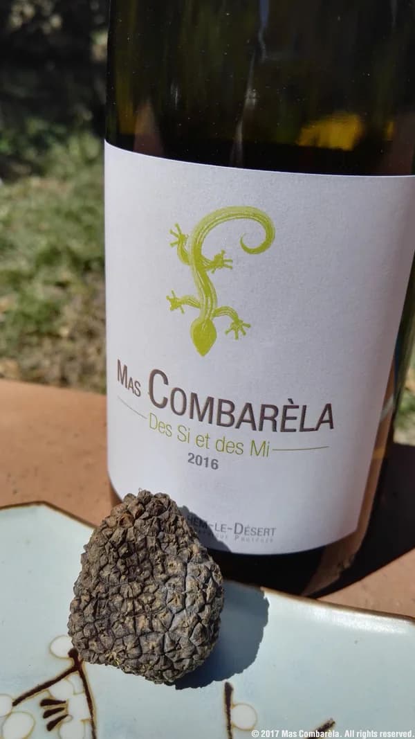 Bouteille de Des Si et des Mi Blanc — MAS COMBARELA, vin blanc