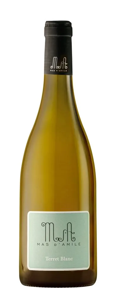 Bouteille de Terret Blanc — MAS D'AMILE, vin blanc