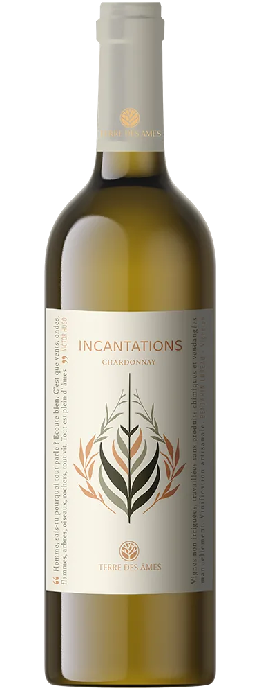 Bouteille de Incantations — TERRE DES AMES, vin blanc