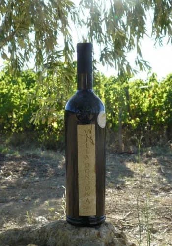 Bouteille de Dondona — VILLA DONDONA, vin rouge