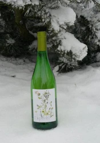 Bouteille de Espérel — VILLA DONDONA, vin blanc