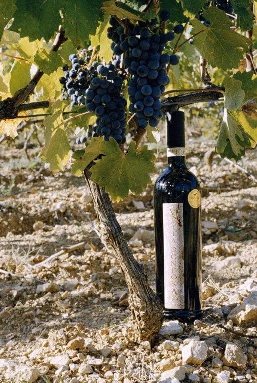 Bouteille de Oppidum — VILLA DONDONA, vin rouge