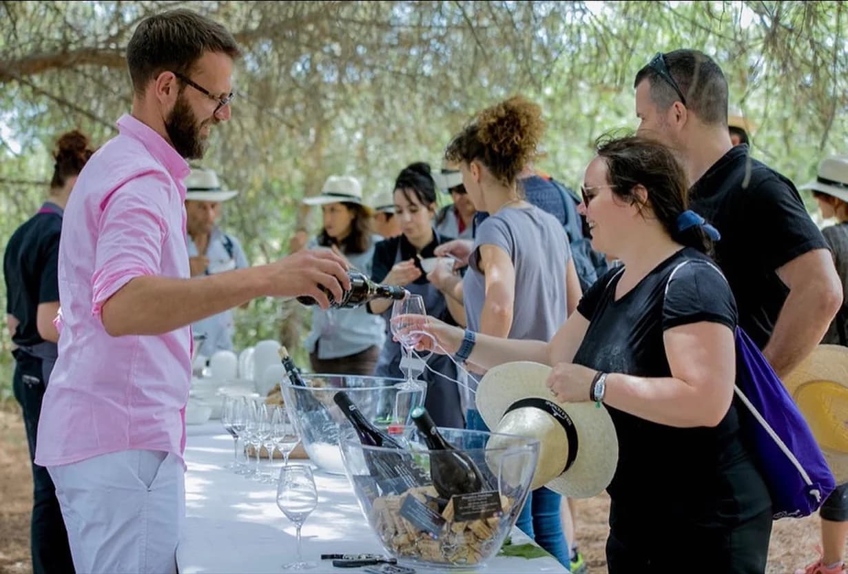 DOMAINE CAMMAOUS CAUSSARELLE — paysage du domaine