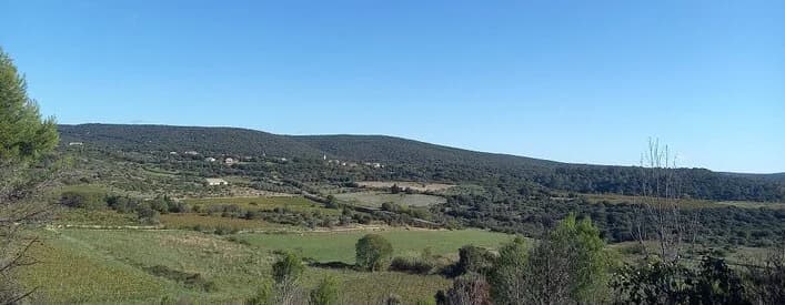 DOMAINE DE LA PERPREZE — paysage du domaine