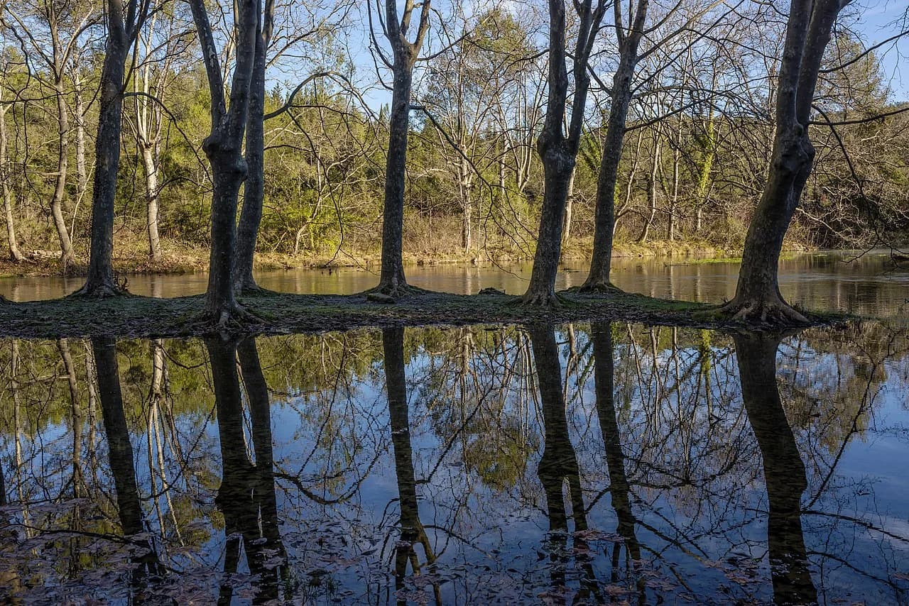 DOMAINE DE SAINT-CLEMENT — paysage du domaine