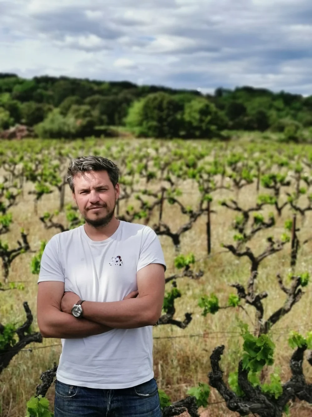 LES 8 SARMENTS — paysage du domaine
