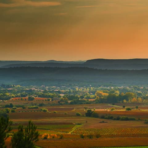 MAS PICAS — paysage du domaine