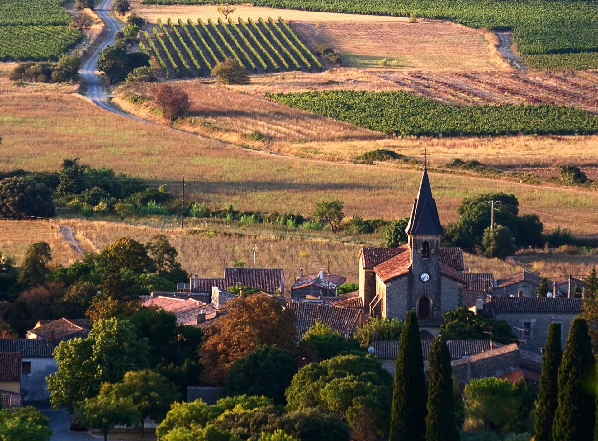 VAL DES PINS — paysage du domaine