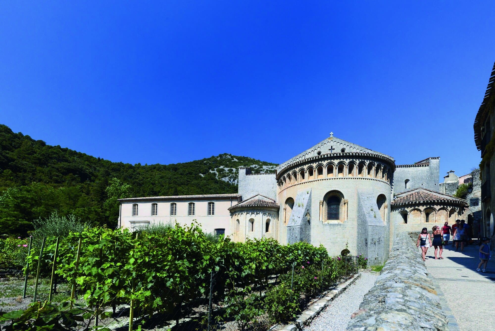 Abbaye de Gellone à Saint-Guilhem-le-Désert, vignes au premier plan