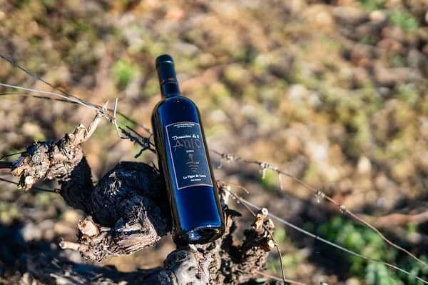 Bouteille de La vigne de Louis — DOMAINE DE L'ANIO, vin rouge