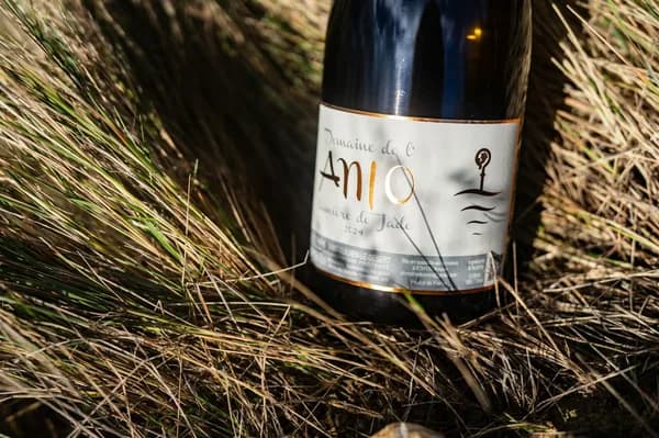 Bouteille de Lumière de Jade — DOMAINE DE L'ANIO, vin blanc