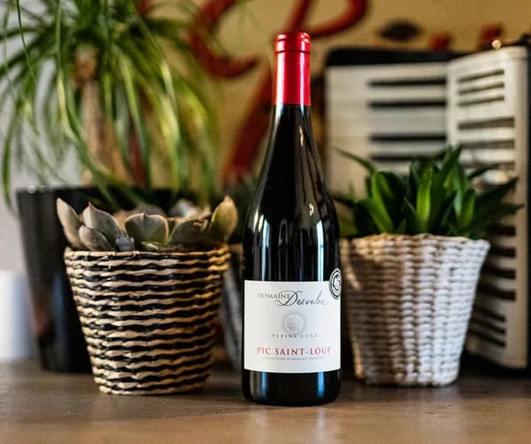 Bouteille de Pleine Lune — DOMAINE DESVABRE, vin rouge
