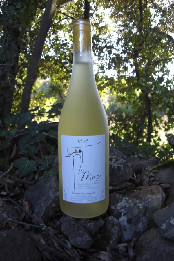 Bouteille de Le Mas Blanc — DOMAINE MAS ALEXANDRE, vin blanc
