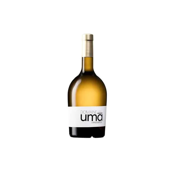 Bouteille de Blanc Languedoc — DOMAINE UMA, vin blanc