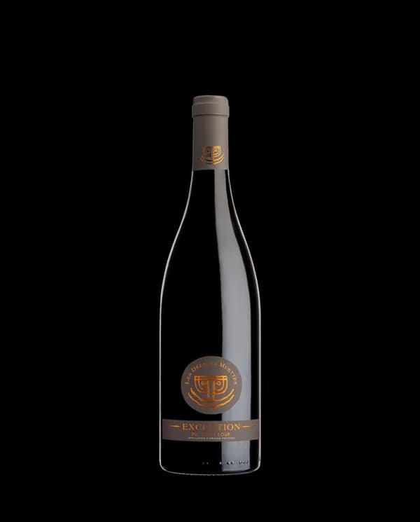 Bouteille de Les Déesses Muettes – Exception — VIGNOBLES DES 3 CHATEAUX