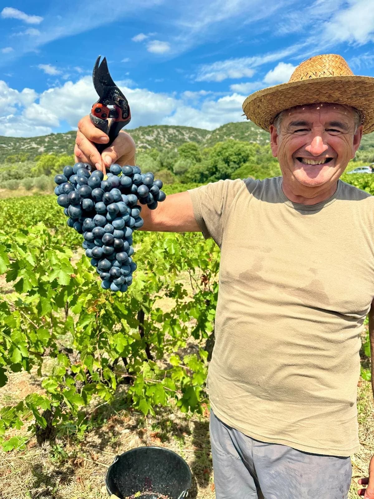 DOMAINE DE L'ANIO — paysage du domaine