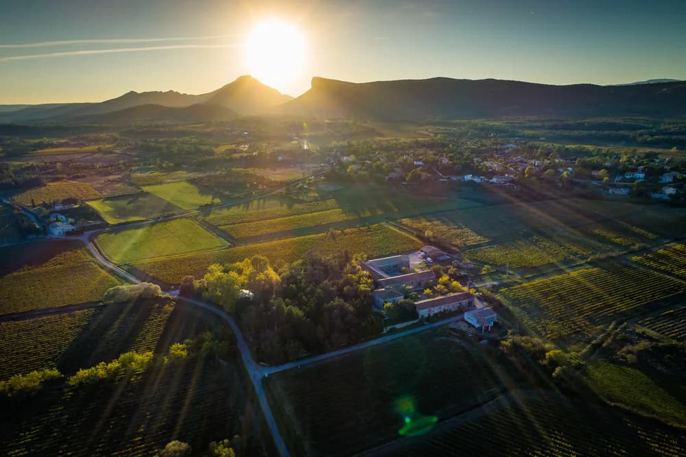 DOMAINE UMA — paysage du domaine