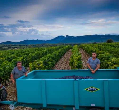 Vignes du LA GRAVETTE DE CORCONNE