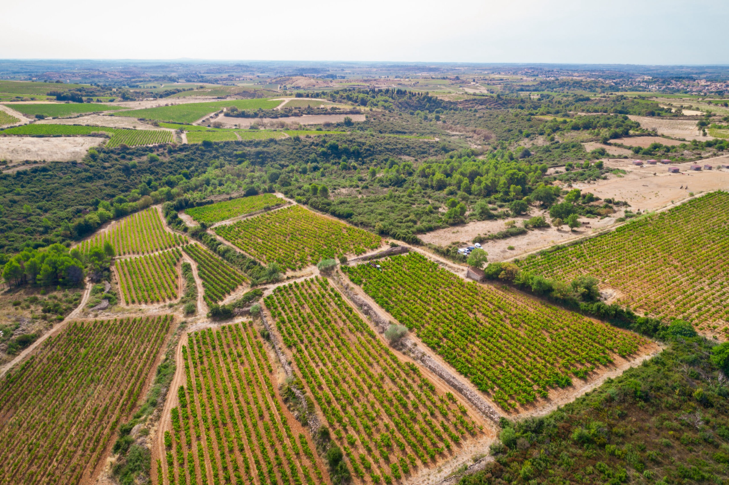 Les Hérault du Vin à Wine Paris 2026