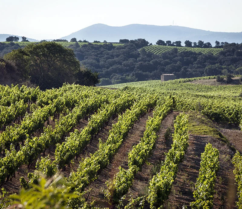 Castelbarry — image