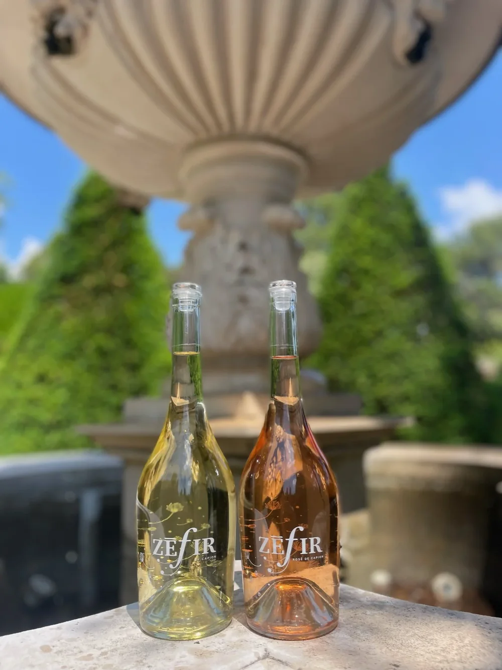 Bouteille de rose pres d'une fontaine en pierre dans le jardin, cadre frais et estival. Lifestyle.