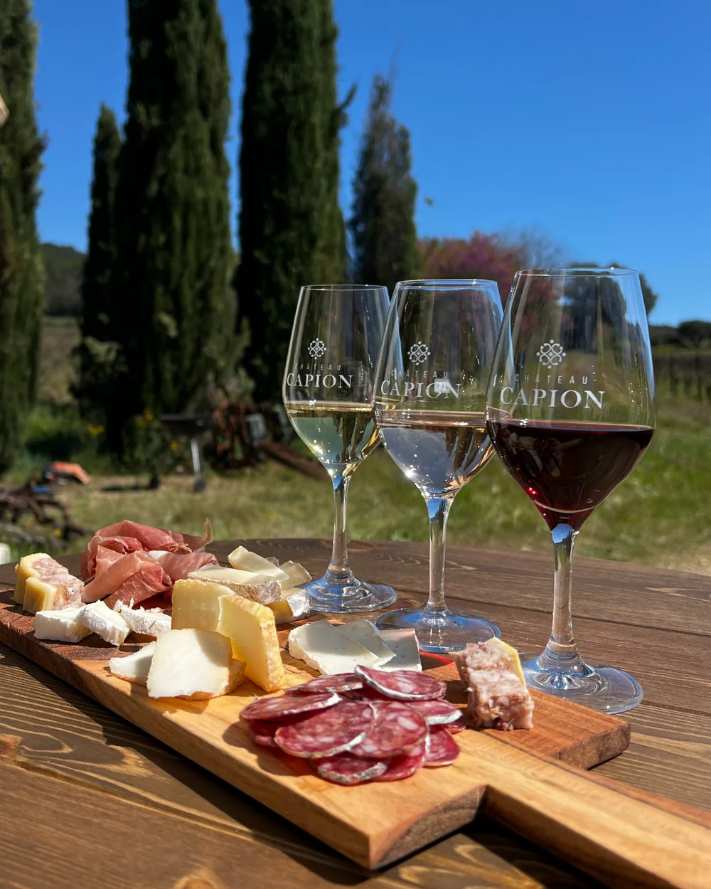 Planche mets & vins (charcuterie/fromages) avec verres, mise en scene de degustation au caveau/terrasse.