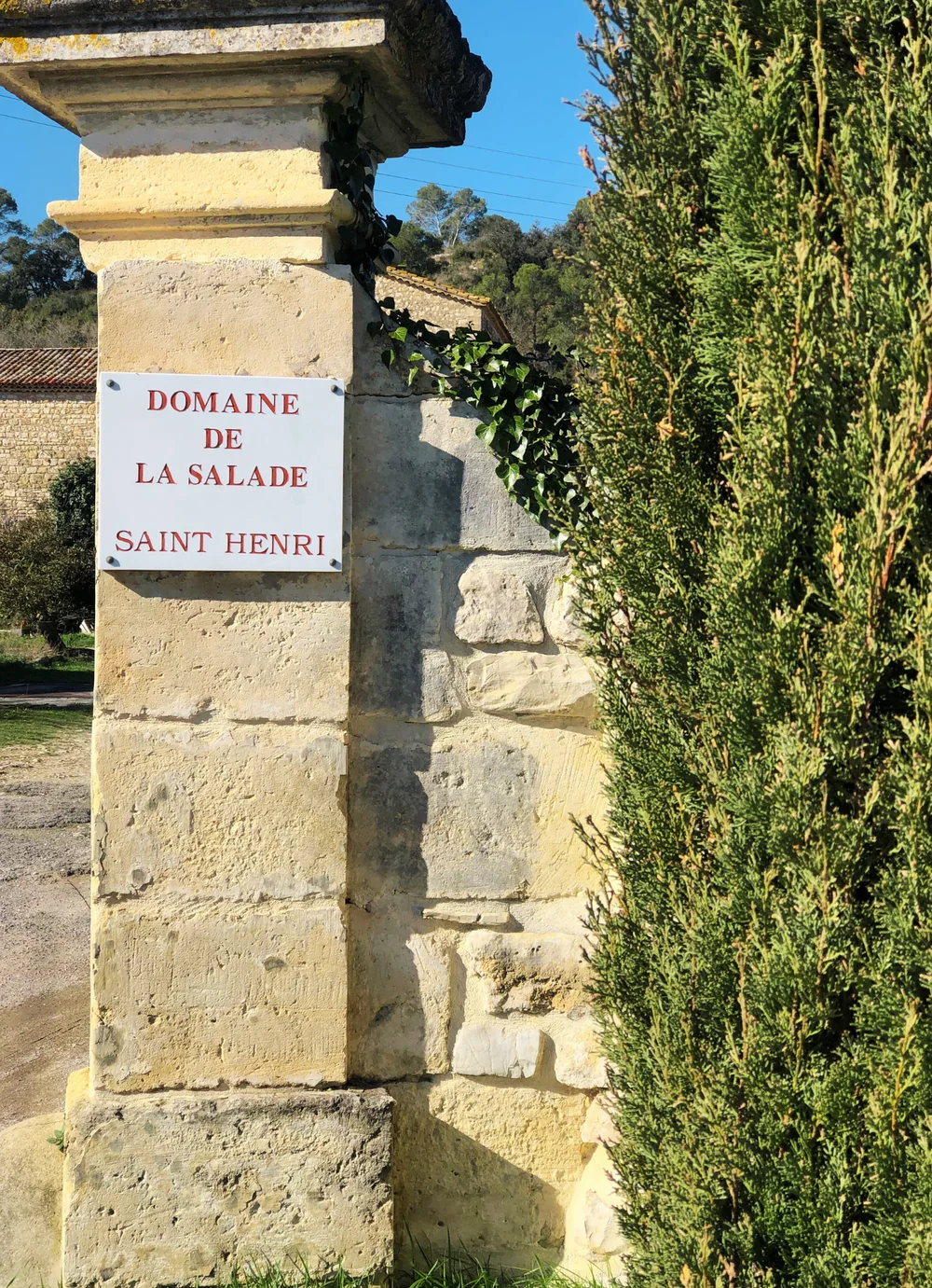 Pilier en pierre de l'entree gravé 'DOMAINE DE LA SALADE SAINT HENRI', encadre d'un cypres et d'un ciel bleu. Entree iconique et identitaire du domaine.