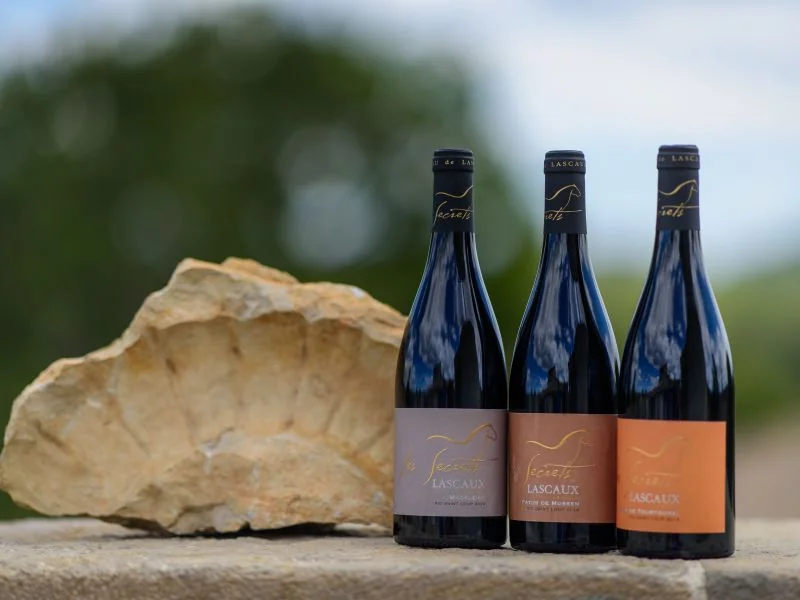 Packshot lifestyle : trois bouteilles de la gamme Les Secrets (Lascaux, AOC Pic Saint-Loup) alignees a cote d'un fossile de coquille Saint-Jacques (reference au terroir calcaire), en exterieur, fond vegetal flou. Tres elegant.