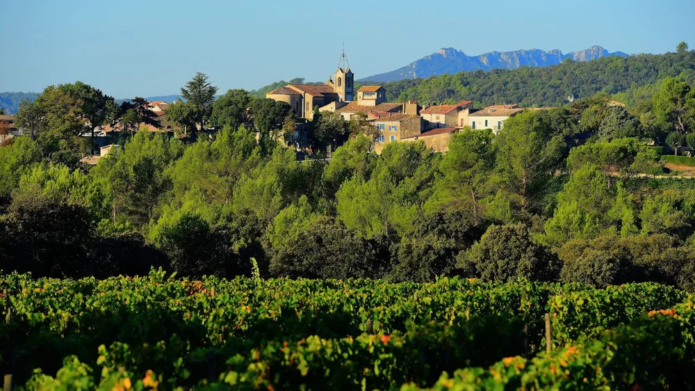 Panorama : rangs de vignes au premier plan, le village de Vacquieres avec son clocher au milieu, et les reliefs (massif/Pic Saint-Loup) en arriere-plan sous un ciel bleu. Format paysage 1920x1080, ideal pour un bandeau hero. Credit photo Claude Cruells.