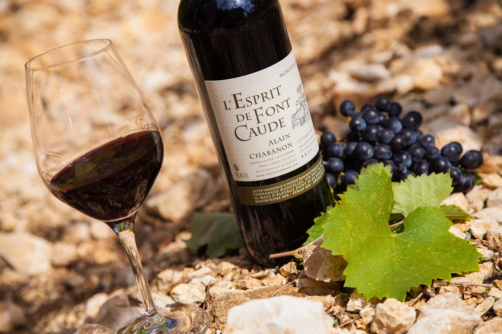 Tres beau packshot lifestyle : bouteille 'L'Esprit de Font Caude' avec un verre de vin rouge a gauche et une grappe de raisin noir a droite, sur sol calcaire ensoleille. Composition de degustation premium.
