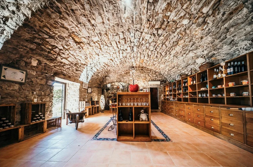 Caveau / boutique vouté en pierre : plafond en voute, casiers a bouteilles, grand meuble-comptoir en bois, presentoir de verres et bouteilles. Bel espace de degustation et de vente patrimonial.